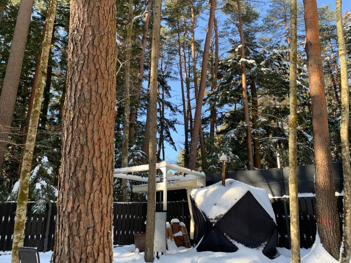 Fuji Fumoto Forest Hotspring ふもとの森温泉 Фуджикавагучико Екстериор снимка