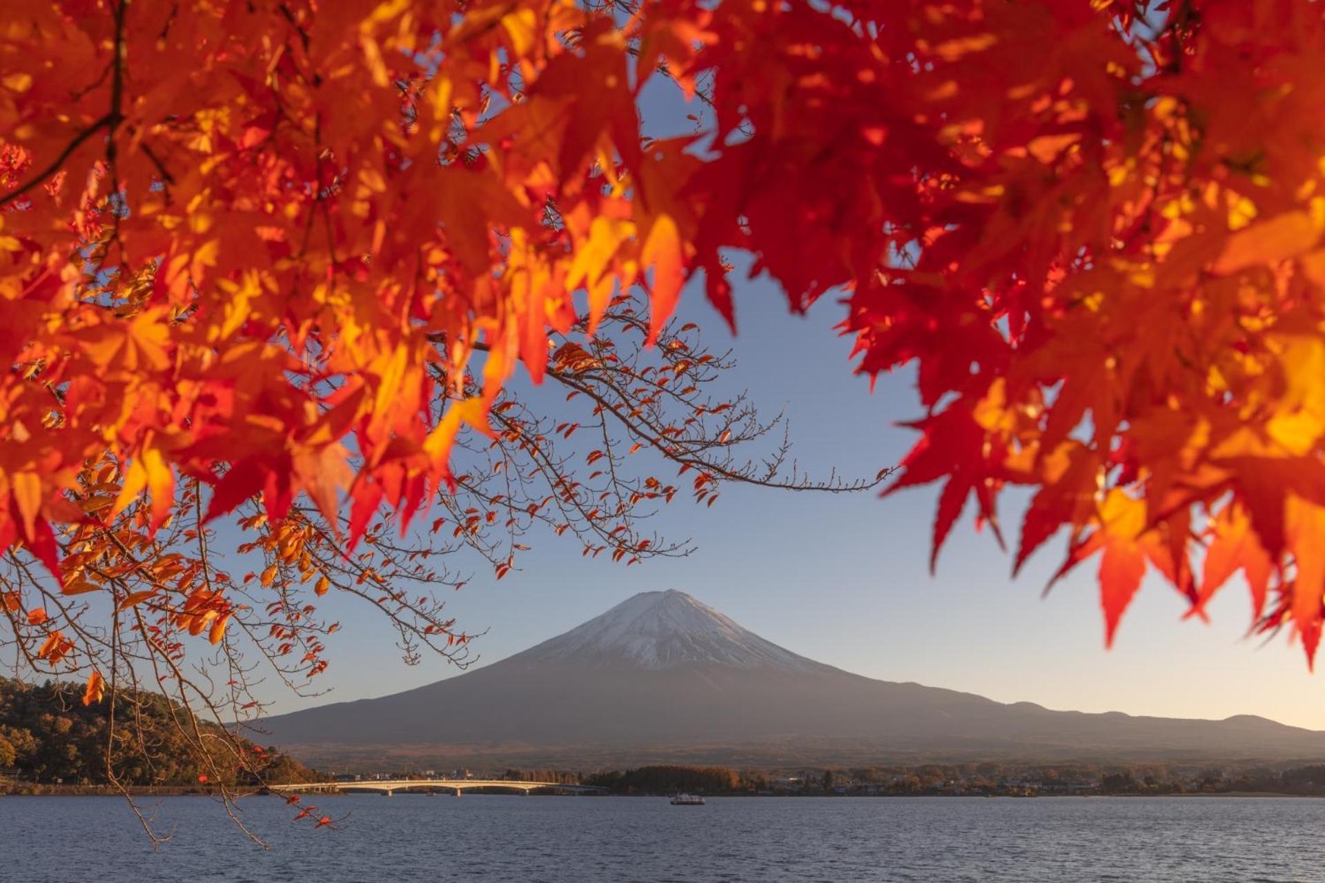 Fuji Fumoto Forest Hotspring ふもとの森温泉 Фуджикавагучико Екстериор снимка